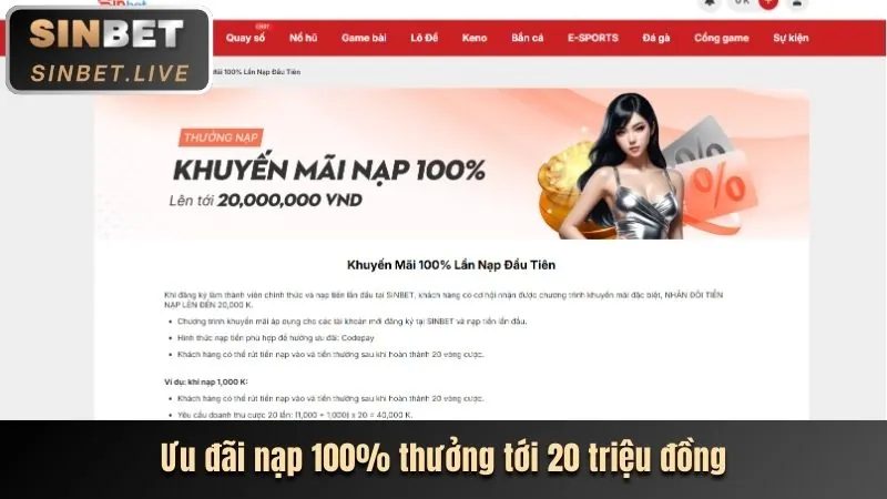 Các chương trình khuyến mãi và ưu đãi thể thao độc quyền de88